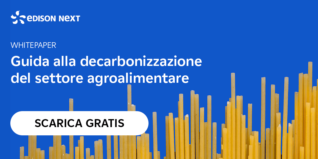 wp agroalimentare
