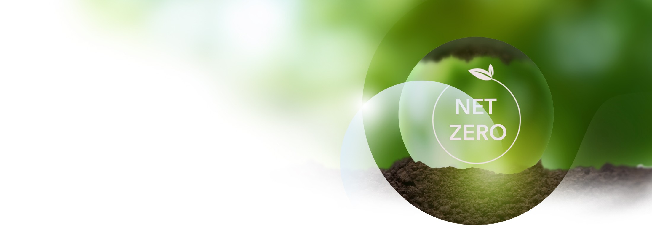 Road to Zero: il percorso verso la decarbonizzazione