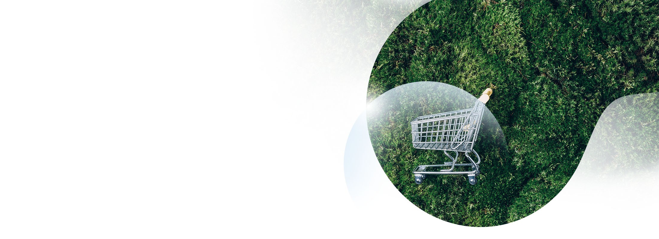 GDO e Retail: la leva strategica della decarbonizzazione