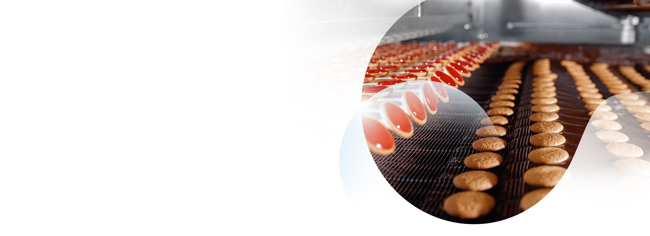 Sostenibilità nel settore agroalimentare: vantaggi della cogenerazione