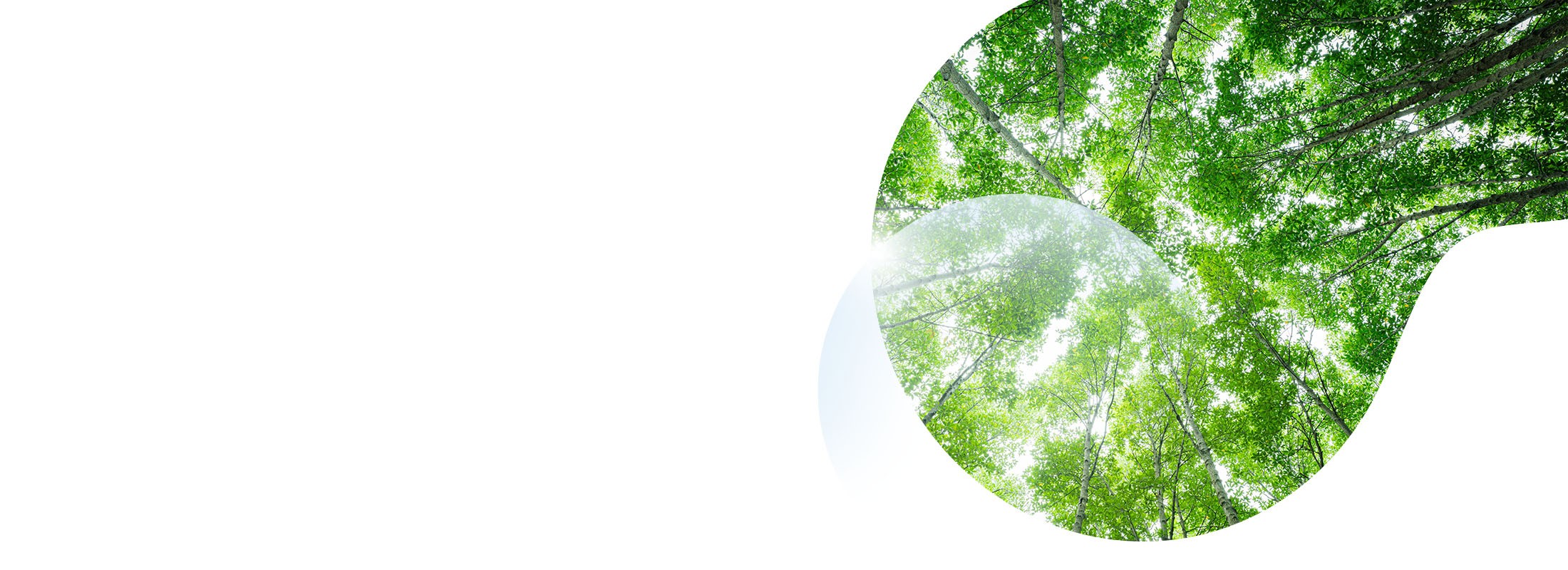 Energia da biomasse, come unire sicurezza energetica e circolarità