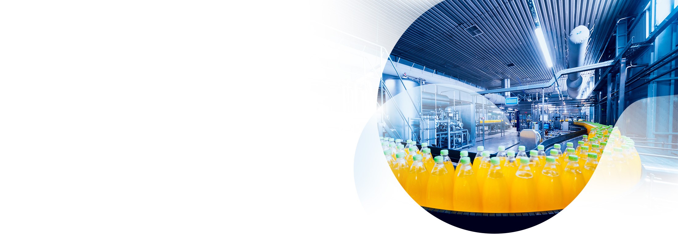 Net Zero agroalimentare: una dieta di rinnovabili per ridurre le emissioni