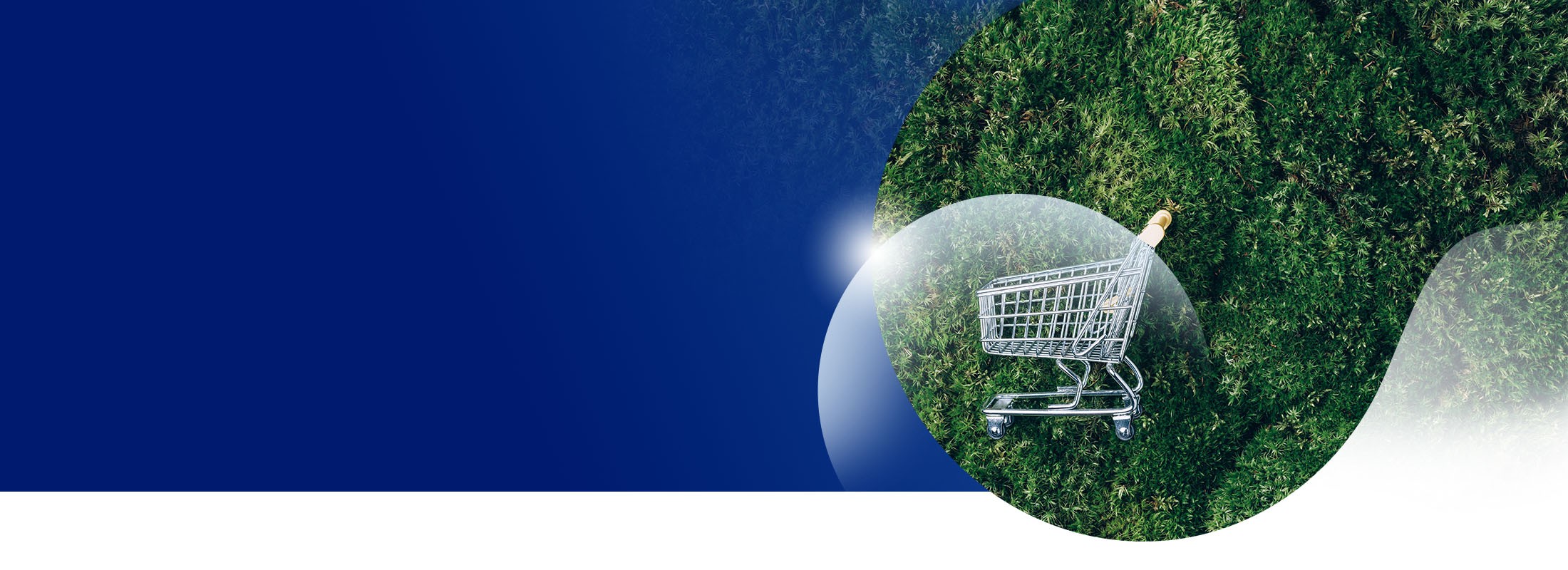 GDO e Retail: la leva strategica della decarbonizzazione