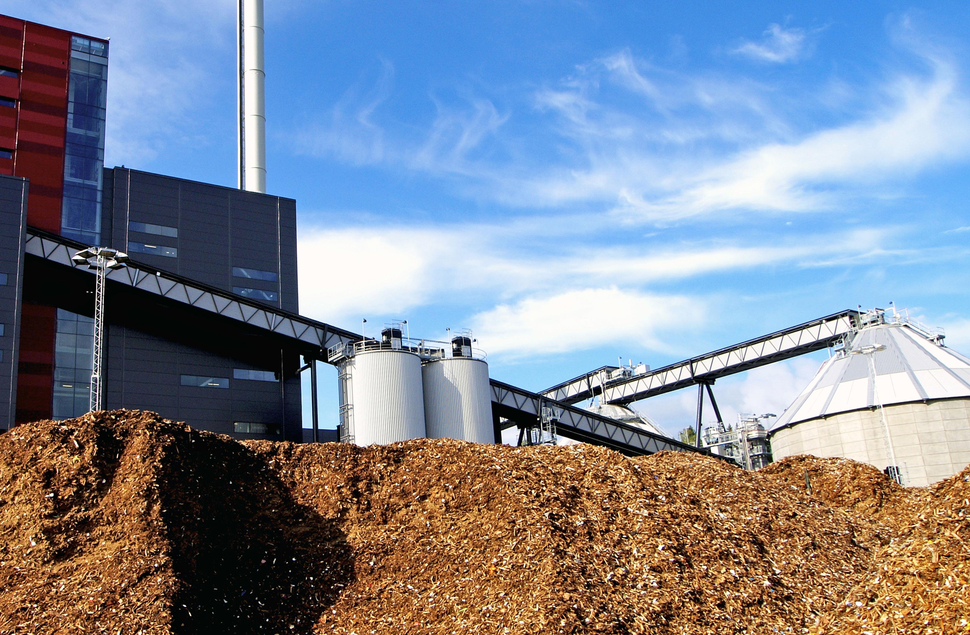 Energia da biomasse per la competitività industriale