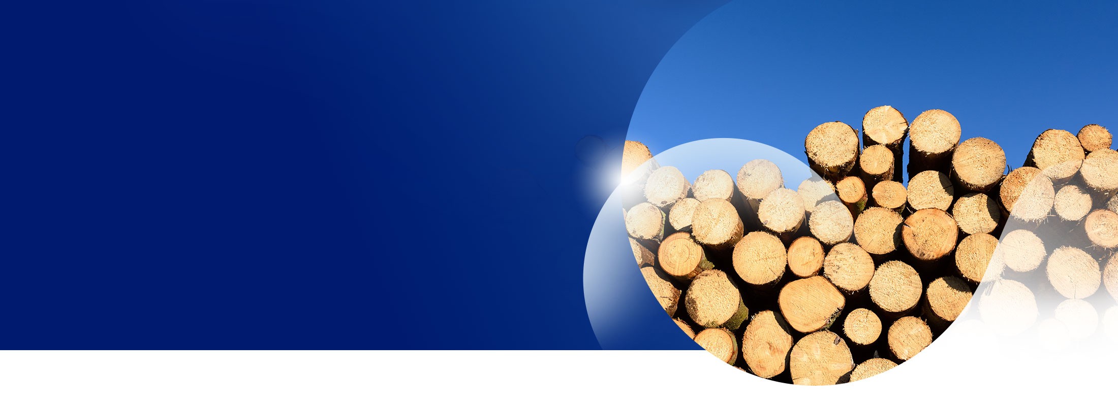 Energia da biomasse per la competitività industriale