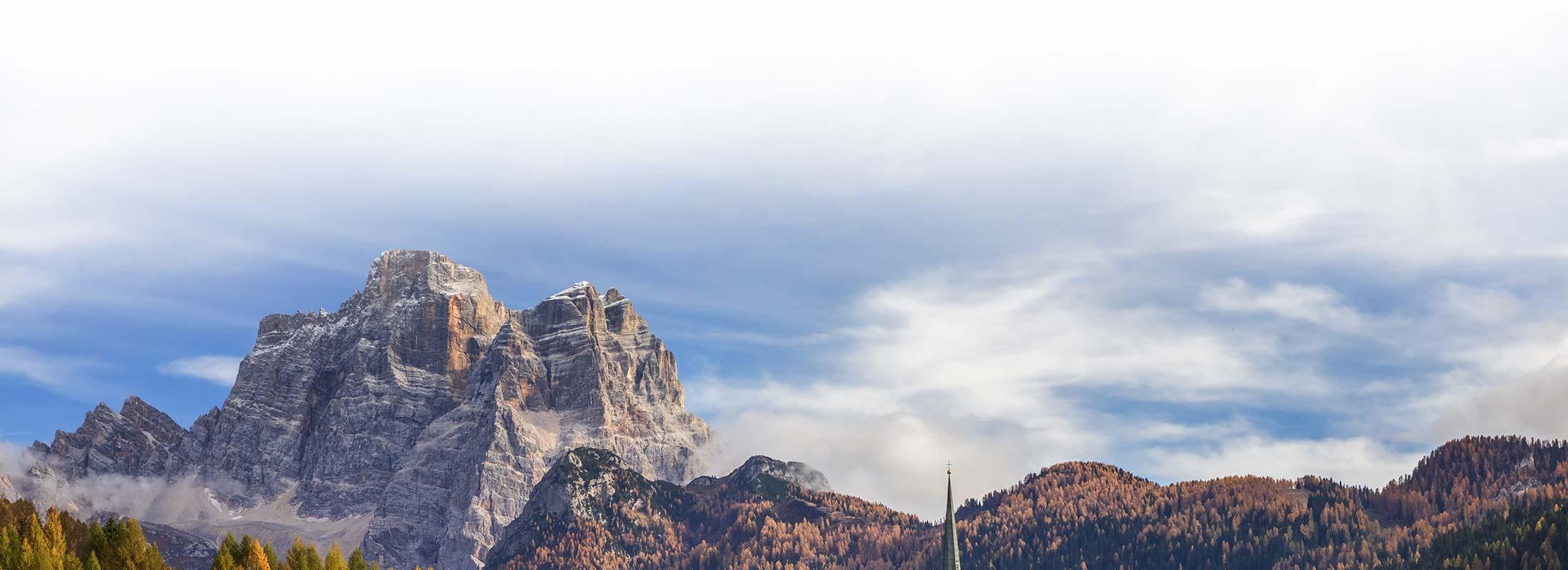 obiettivi fitodepurazione