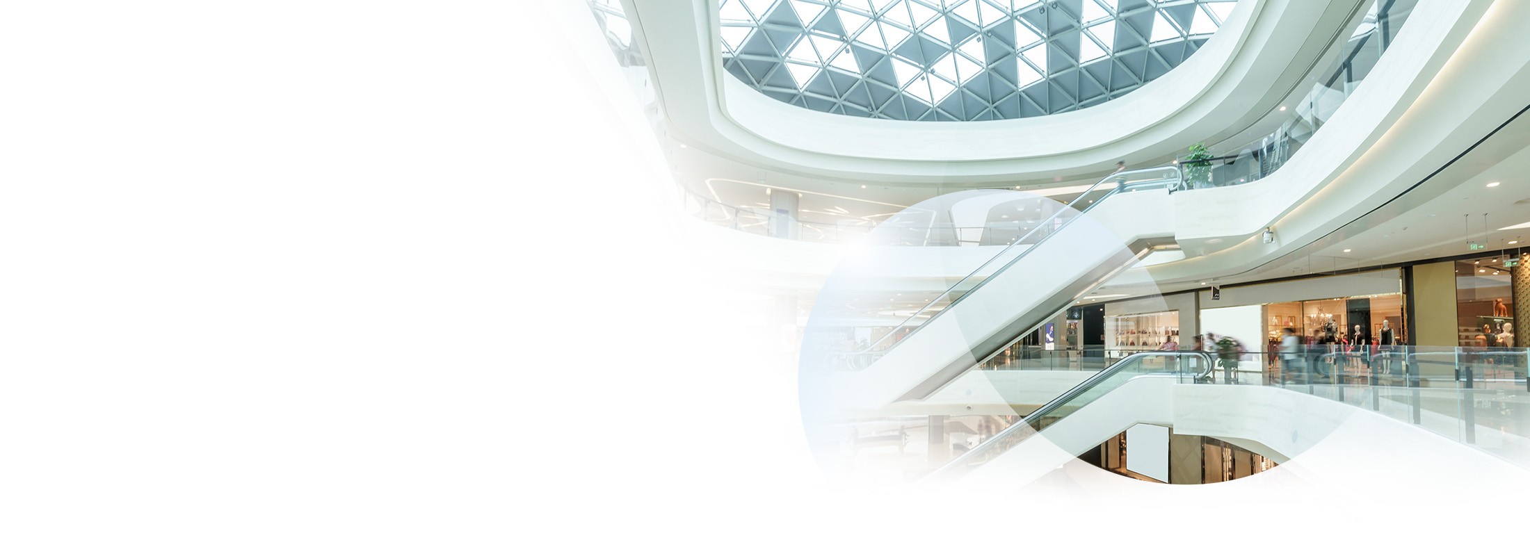 Decarbonizza la tua azienda della Grande Distribuzione Organizzata